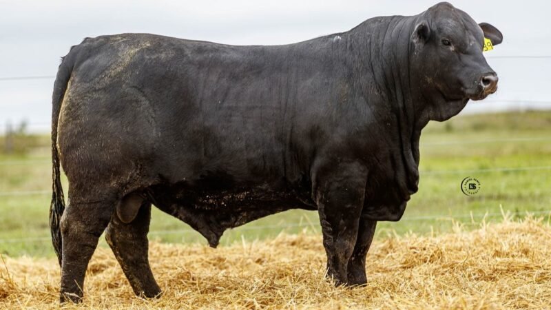 LOTE 18 RP 839 LOS RETOÑOS