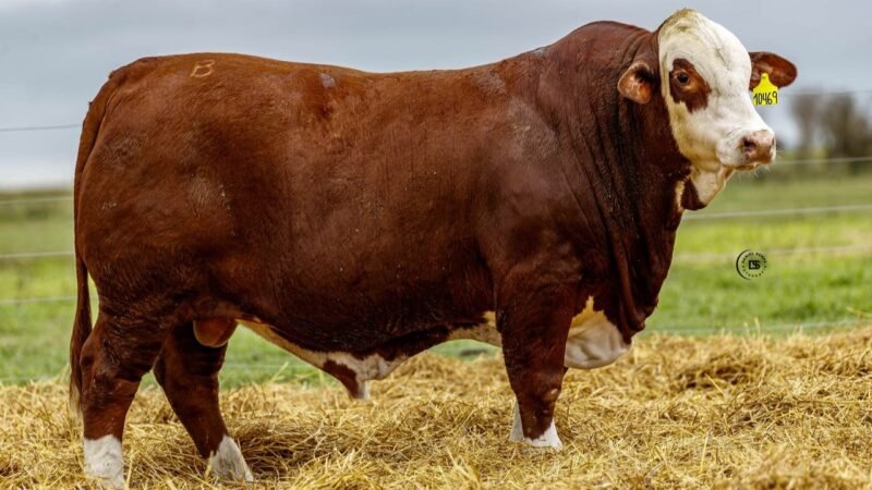 LOTE 32 RP 10469 LOS RETOÑOS