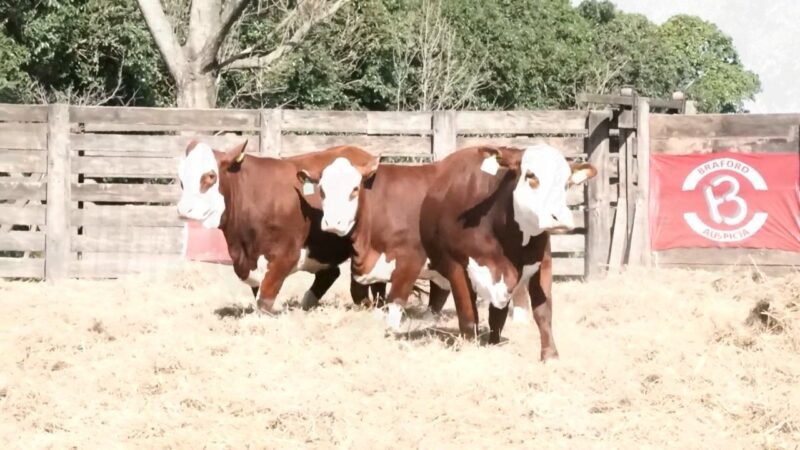 LOTE 64 RP 1246 LA ESPERANZA